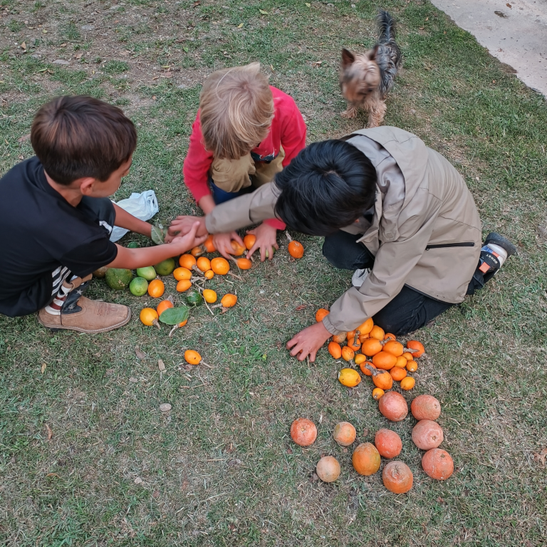 Leadership and mentorship at Mission.Place